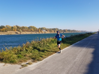 Isola del Danubio